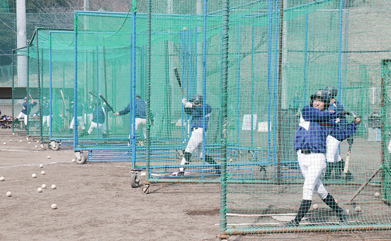 打撃練習に余念がない明豊の選手たち＝大分県別府市の同校グラウンドで、田畠広景撮影