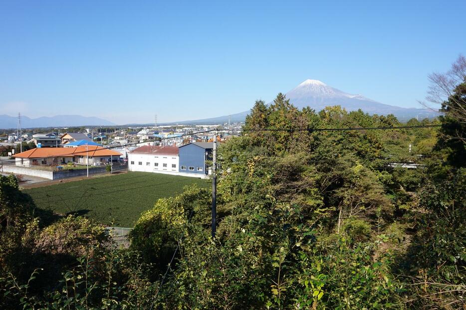 法蔵寺の裏山から望んだ富士山＝富士市中野