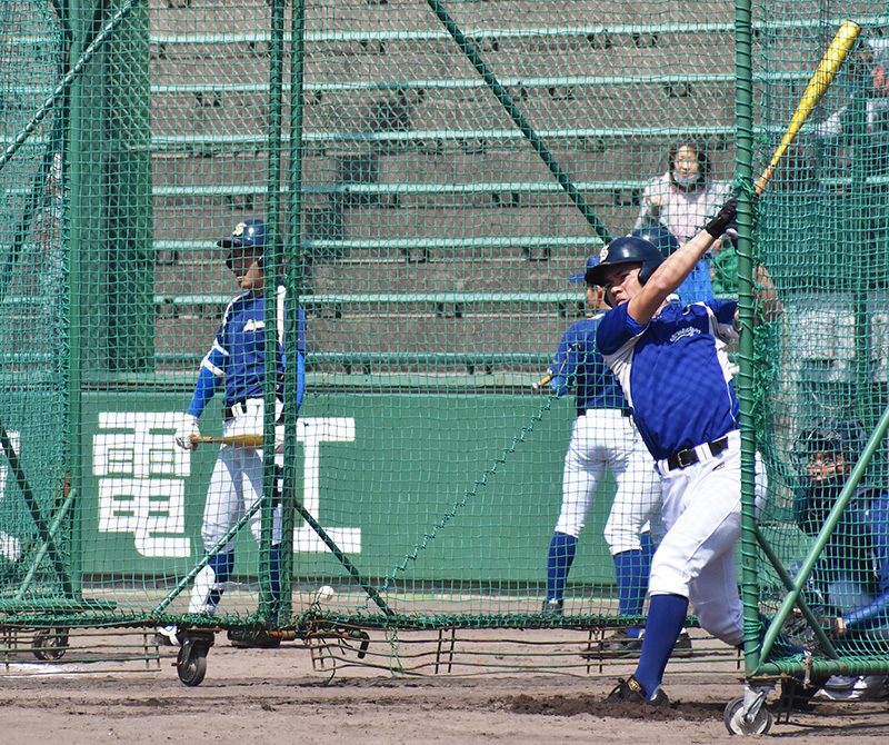 打撃練習を行う松山聖陵ナイン＝兵庫県伊丹市の伊丹スポーツセンターで、遠藤龍撮影