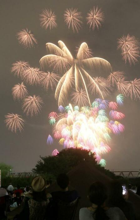 [写真]色鮮やかな花火がなにわの空を彩る=5日午後8時ごろ、大阪市福島区で（撮影：柳曽文隆）