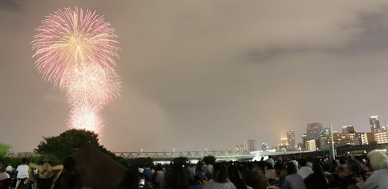 [写真]なにわの夜に大輪が。右は大阪市北区梅田方面=5日夜、大阪市福島区から（撮影：柳曽文隆）