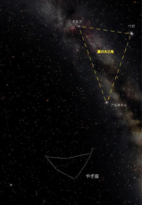 夏の大三角からやぎ座を見つけてみよう（写真提供：葛飾区郷土と天文の博物館）
