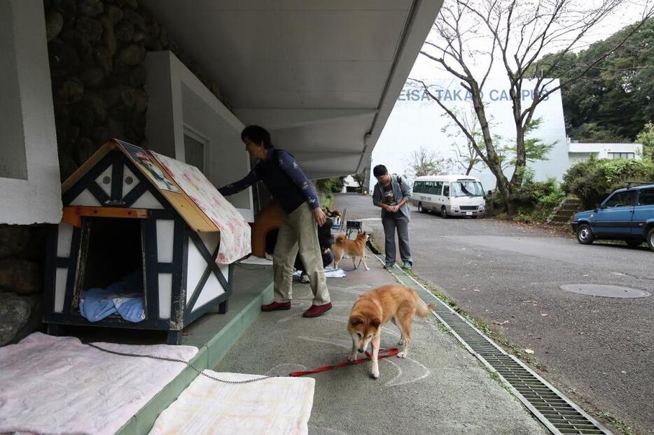 [写真]茶々と千代丸は学園のマスコット的存在だ。大勢の生徒が声をかけにくる