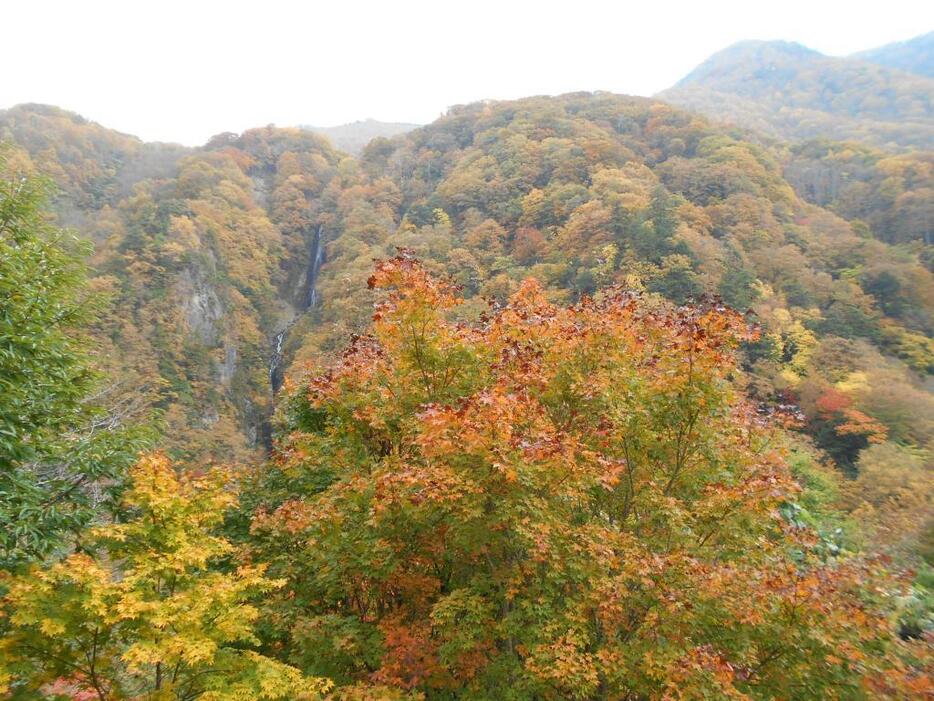 [写真]紅葉の間から滝がしぶきを上げる松川渓谷