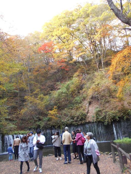 [写真]舞台に立つような感覚が人気の白糸の滝の紅葉