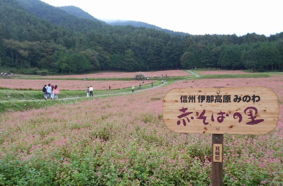 [写真]森に囲まれた別天地が人気