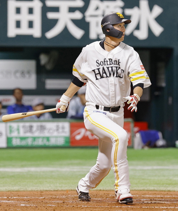 巨人　ソフトバンク　秋広優人　選手　実使用バット 巨人 ソフトバンク 秋広優人 選手 実使用バット