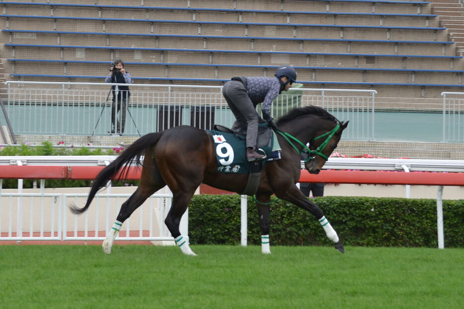 キセキ　17年　菊花賞　現地的中単勝馬券　希少 キセキ 17年 菊花賞 現地的中単勝馬券 希少 キセキ 17年 菊花賞