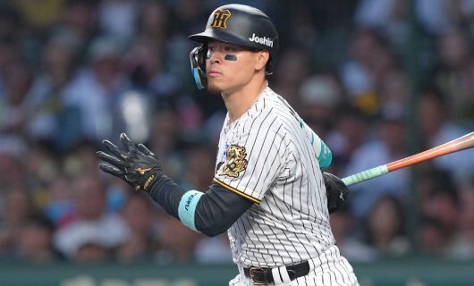 佐藤輝明　初本塁打　記念　阪神タイガース　初ホームラン　ボール Amazon.co.jp: 品 阪神タイガース 佐藤輝明選手 甲子園初