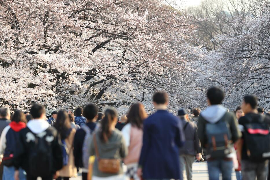 東京・上野で花見の季節に訪れる人々(写真：アフロ）