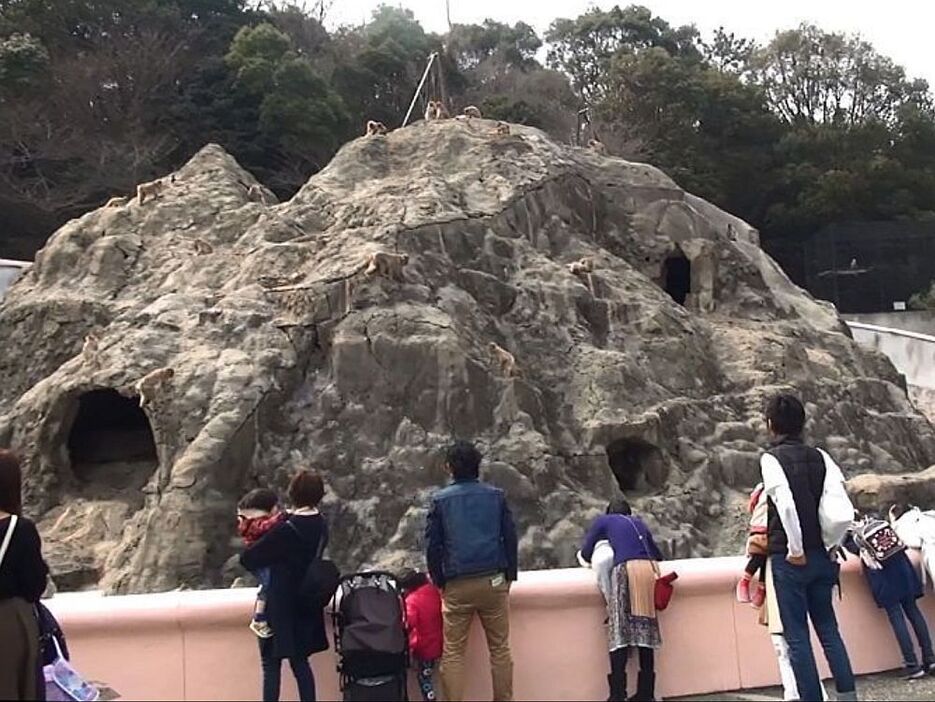 [写真]開園時から変わらないサル山も見納めになる