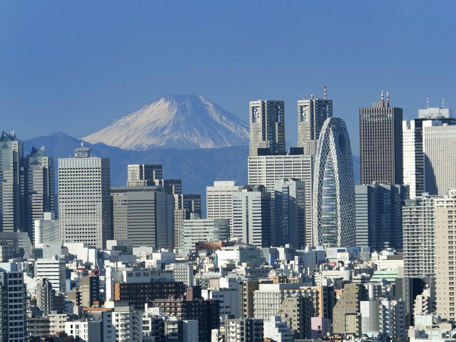 東京・新宿のビル群。中央奥に都庁が見える（写真：GYRO PHOTOGRAPHY/アフロイメージマート）
