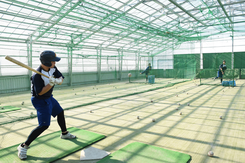 室内練習場で打撃練習に励む選手たち＝北海道芽室町で