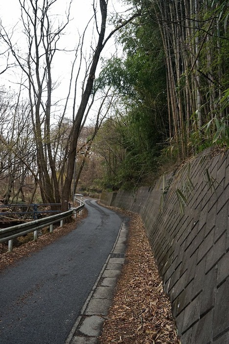 [写真]国道脇の細い峠道