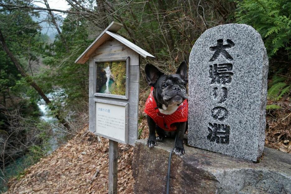 [写真]『犬帰りの淵』の石碑と『マメ』