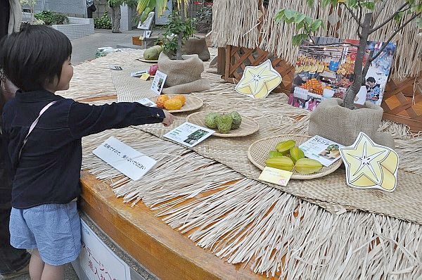 [写真]熱帯フルーツの個性的な色やかたちに見入る女の子