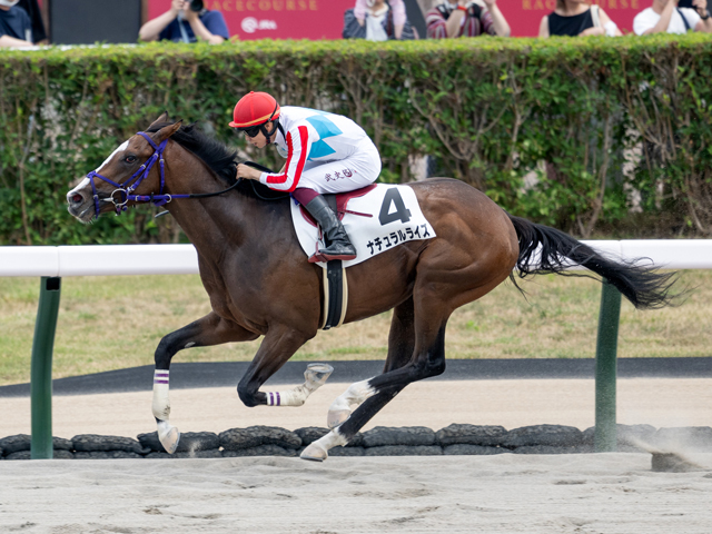 札幌5Rの新馬戦を制したナチュラルライズ(撮影:山中博喜)