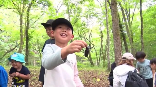 第29回中条でカブトムシをとろう！（14日）