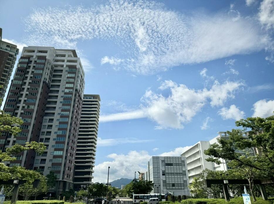 22日(月)午前10時ごろの福岡市内の様子(撮影=ウェザーマップ横尾槙哉)