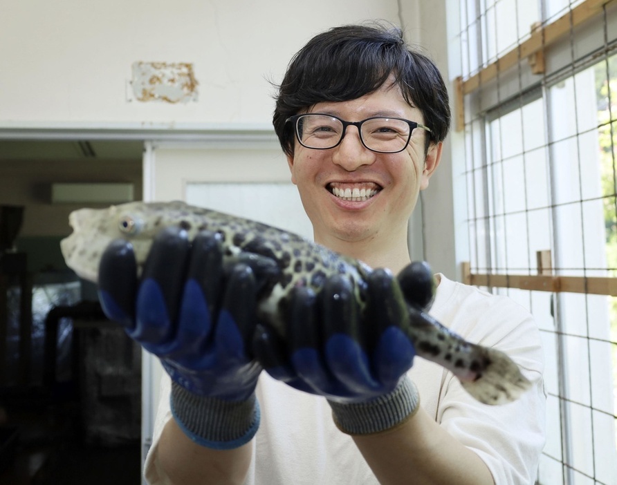 幼稚園だった建物でトラフグの養殖に取り組む「朝来食品」の中村峻さん＝2024年6月