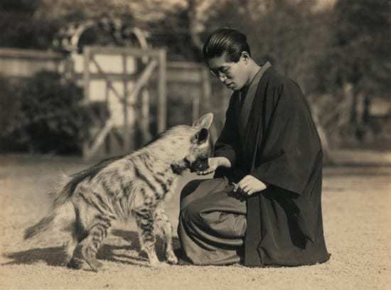 縞ハイエナのへー坊に手から食べ物を与える米吉（『愛犬王　平岩米吉』より）