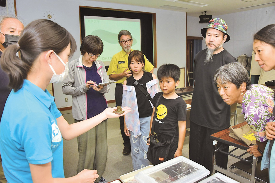 徳之島で捕獲されたシロアゴガエルの標本を観察する参加者ら＝21日、鹿児島県瀬戸内町古仁屋