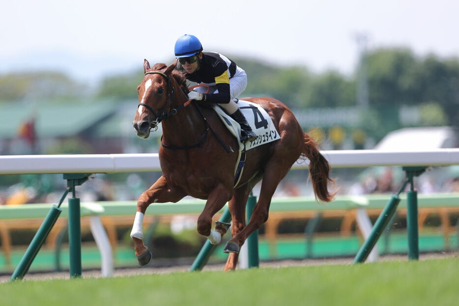 函館5R・アスクシュタインと北村友一騎手