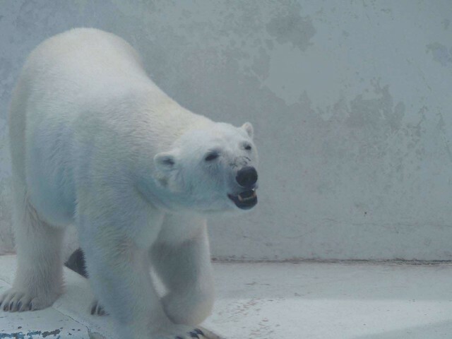 提供：熊本市動植物園