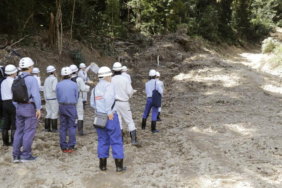 土砂崩れ現場を視察する土砂災害対策技術検討委員会の委員ら＝29日午前、松山市（代表撮影）