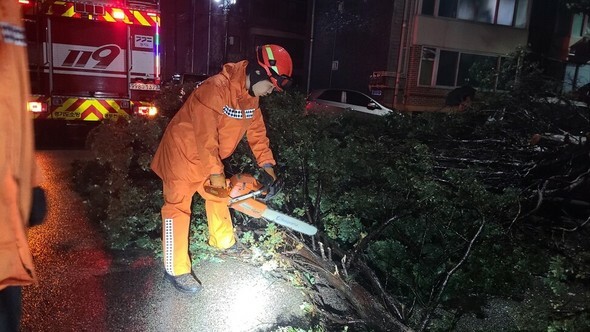 18日未明、京畿道東豆川市で、豪雨で木が車の上に倒れ、消防士が木を片付けている=京畿道北部消防災害本部提供