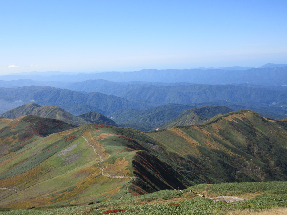 写真：PEAKS