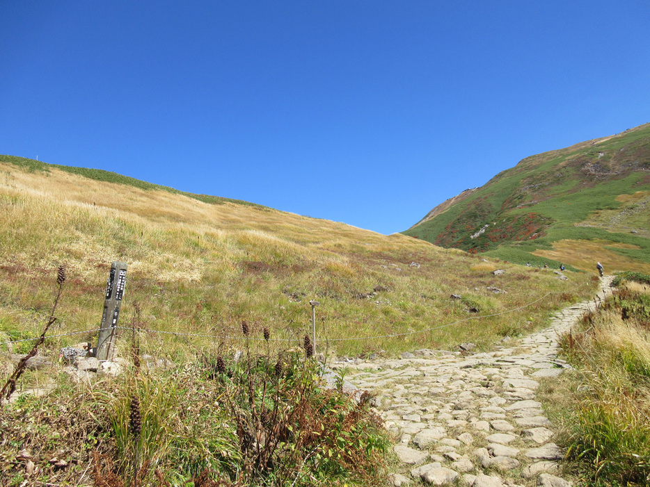 写真：PEAKS