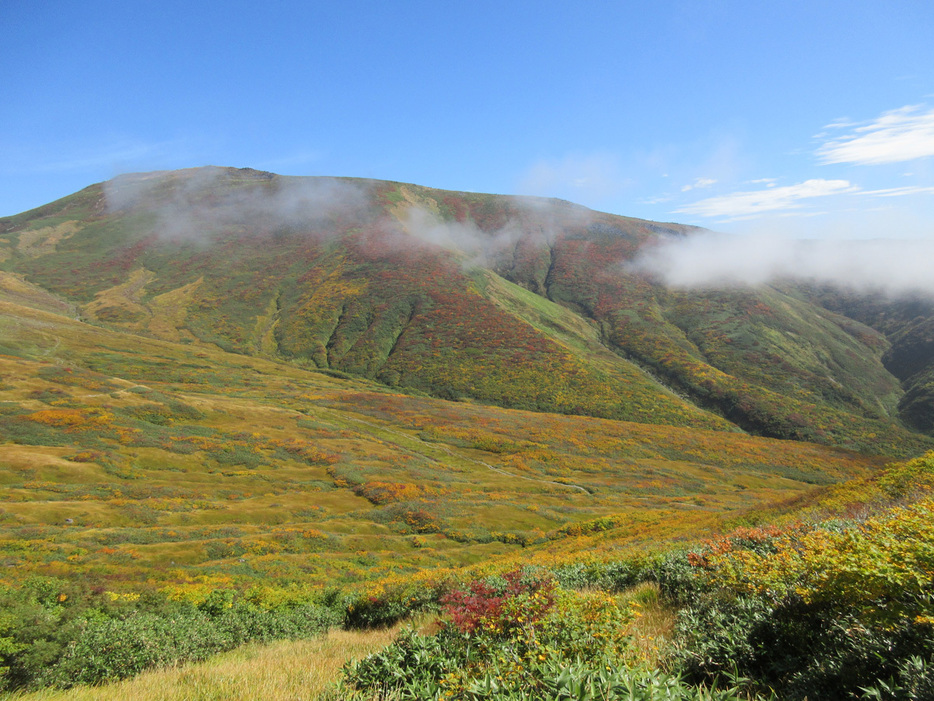 写真：PEAKS