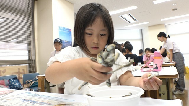 高松市教育委員会が開いたイリコ講座