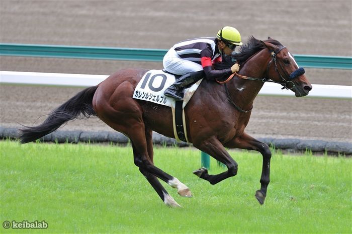 稍重の未勝利戦を圧勝したカレンルシェルブル