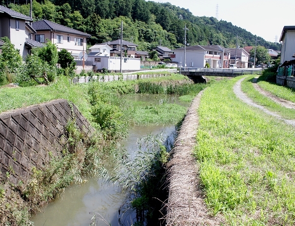 上流（写真奥側）の川幅が広く、下流（手前側）が狭い石原の大谷川