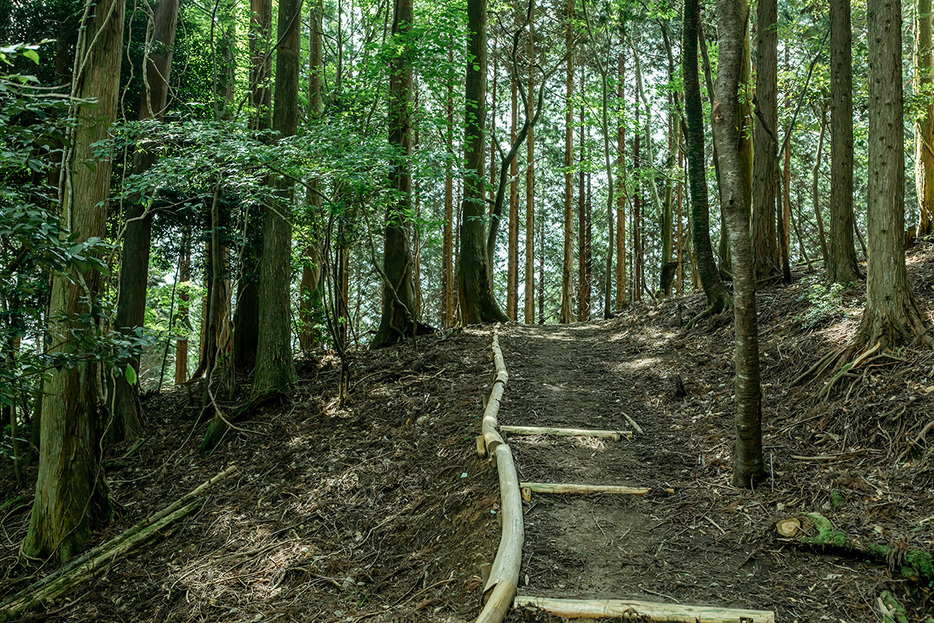 能勢妙見山の森。かつては荒れた暗い森だったが、森林浴が楽しめる美しい森に整備した。森の中にあった残置物を使ってゲートやデッキをつくり、間伐した森の木で歩道を設置するなど、「なるべく森のなかにあるものをつかった」（小池さん）