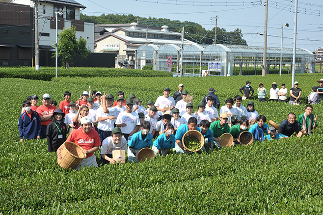 “狭紅茶”づくりに高校生が挑戦