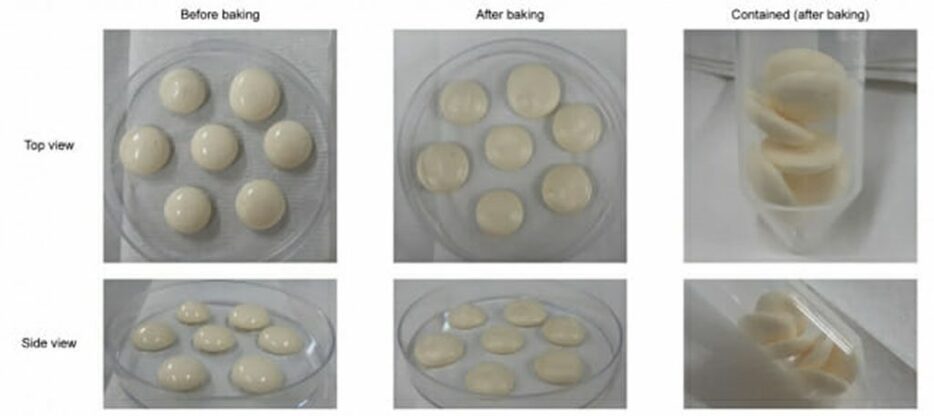 KAISTが微生物を利用して作ったメレンゲクッキーの代替剤(c)KOREA WAVE