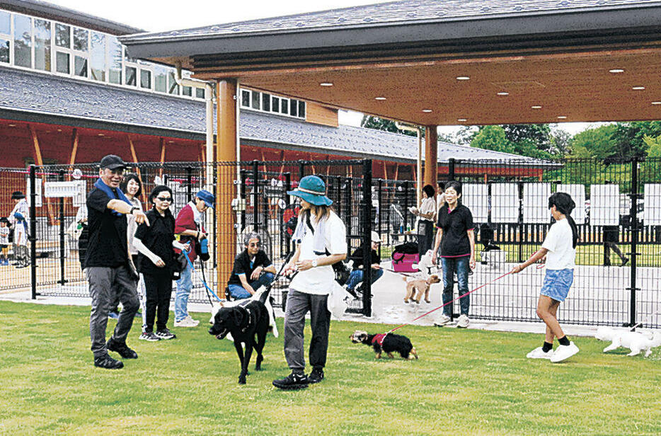 愛犬と一緒に遊ぶ来園者=津幡町の石川県森林公園