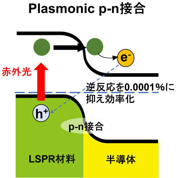 赤外光を局在表面プラズモン共鳴（LSPR）材料に当てるとエネルギーを持った電子e-（熱電子）が生まれる（大阪大学産業科学研究所の坂本雅典教授提供）