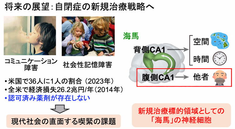 （東京大学／奥山輝大准教授らの研究グループ提供）