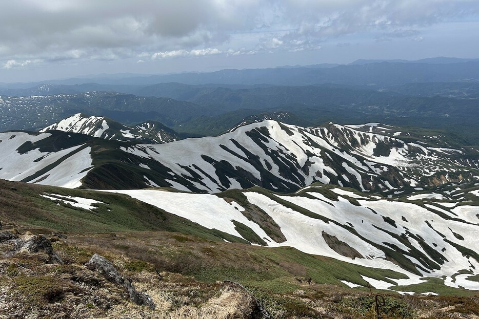 月山山頂からの残雪と新緑のゼブラ模様のコントラスト