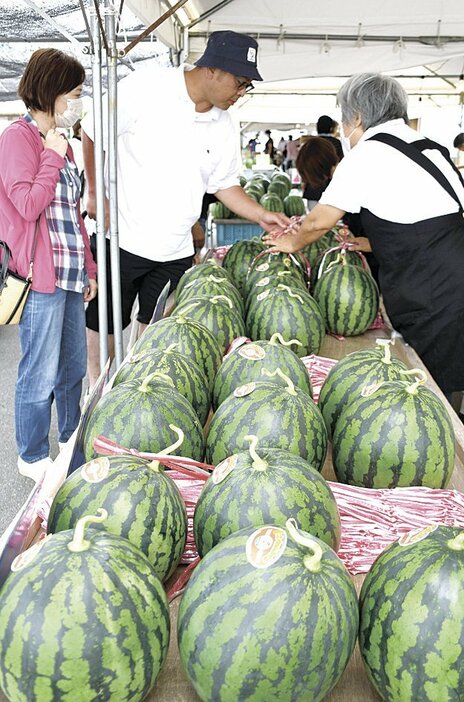 新鮮なスイカが並ぶ直売所