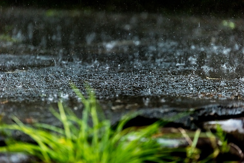 梅雨明けを楽しみにしている人も、梅雨に関する疑問を考えてみよう！