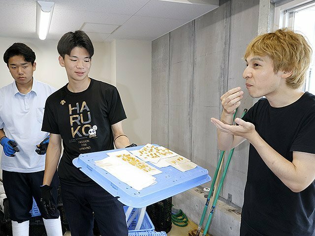 氷見高校海洋科学科の３年生が廃棄野菜で育てた駆除ウニの身を試食する熊野さん（右）＝氷見市姿の県栽培漁業センター