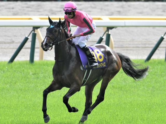 連勝を狙うイングランドアイズ(昨年5月撮影、ユーザー提供：mailaさん)