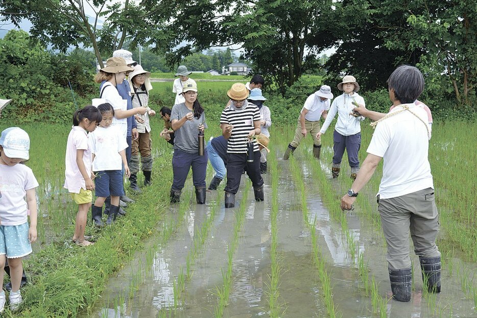 無農薬・無化学肥料の米作りを学ぶ講座参加者