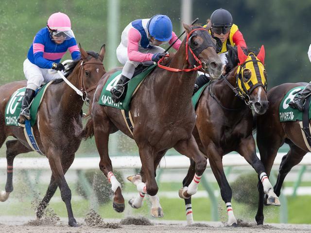 オパールCを制したベルベストランナー(写真提供：岩手県競馬組合)