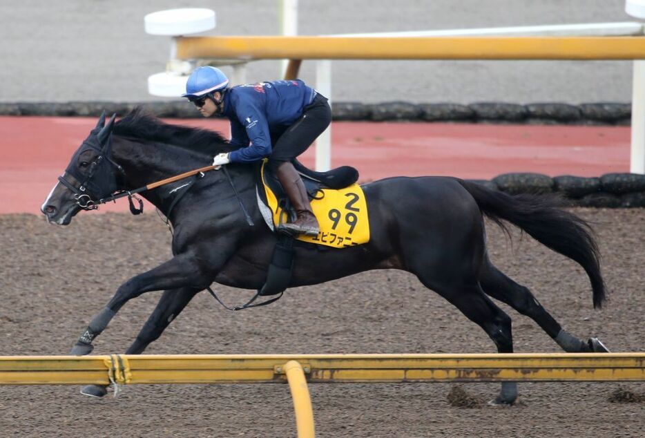 重賞勝ちの舞台で巻き返しを狙うエピファニー